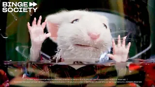 Stuart Little | Atrapado en la lavadora