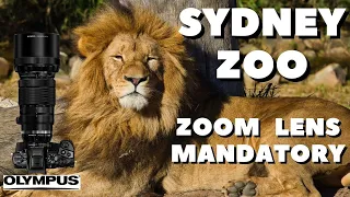 Sydney Australian Zoo with Olympus - Bring a long Telephoto Lens with you