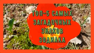 ТОП-5 САМЫХ ЗАГАДОЧНЫХ ЗНАКОВ ЗОДИАКА