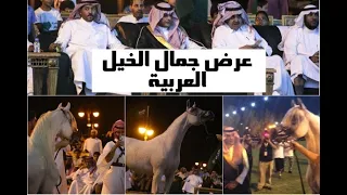 تنظيم عرض جمال الخيل في محافظة وشيقر [ خلف الكواليس العرض والتجهيز والرحلة كاملة ] 🌷