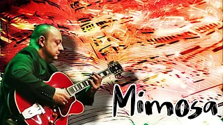 Mimosa - Mike Reinhardt (Jazz guitar transcription)
