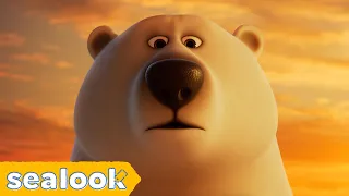The Other Side of the Story🐻‍❄️🐦 | SEALOOK | Episodes Compilation