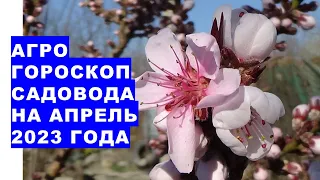 Агрогороскоп садівника на квітень 2023 року. Агрогороскоп садівника на квітень 2023 року