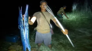 Nyuluh waktu air laut surut kering malam hari dan menombak ikan Needlefish raksasa