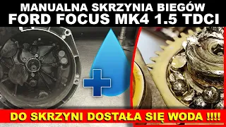 Ford Focus MK4 1.5 TDCI - woda w skrzyni biegów