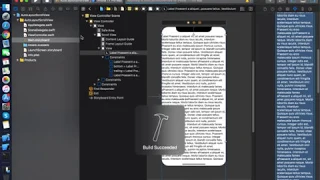 Dynamic  ScrollView in Swift 5 and Xcode 11