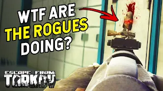 The Rogues Are Cheating And Everyone Knows It... - Tarkov Highlights!