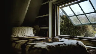 Rainy day in Bed [ASMR] House in nature 🐈 Kitty companion 🌧️ Rain and Thunder Ambience - Window View