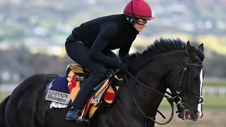 AUGUSTE RODIN prepares for Dubai Sheema Classic with Dundalk workout