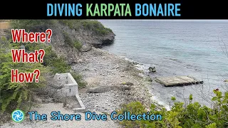 Diving Karpata Bonaire | The Shore Dive Collection | TropicLens - 4K