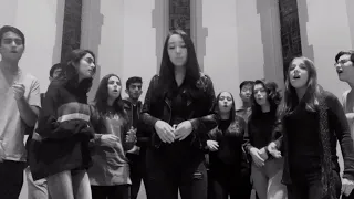 Desert Rose // LOLO ZOUAÏ (a cappella cover)