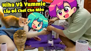 LẮP ĐỒ CHƠI CAT TREE CHO MÈO ( Hiha và Yummie Vlog ) 😍😽