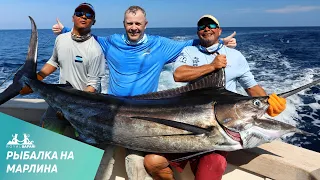 Неординарная рыбалка на марлина и парусника: как мы ловили хищников нахлыстом в Коста-Рике