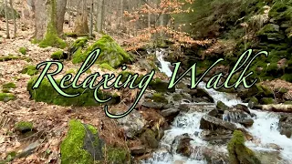 A virtual relaxing walk. The sounds of a stream and a mountain waterfall