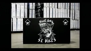 【予約受付中!!】Suicidal Tendencies x SE Bikes Big Ripper. 29"