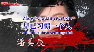 早已习惯一个人  Zao yi xi guan yi ge ren - 潘美辰 Pan mei chen (Lirik dan terjemahan)