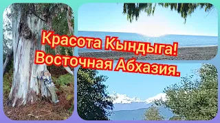 Прогулка по Кындыгу. Абхазия удивляет👍👍👍Красота и разруха. Октябрь2023.12ч.#абхазия2023