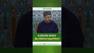 ОЧЕНЬ ТРОГАТЕЛЬНО