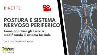 POSTURA E SISTEMA NERVOSO PERIFERICO