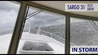 Sargo 31 [STORM Test Drive]