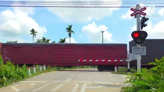 Vietnam crossing railroad - Showreel 2022