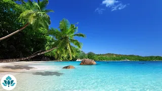 Chillout Tropical Relaxing Music • Ambient Music, Stress Relief