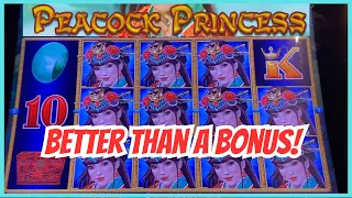 Crazy GOOD Line Hits Keep Us Ahead!🍀Dragon Link Peacock Princess and Spring Festival Slots at Aria!