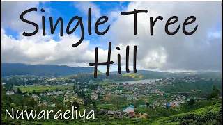 Single Tree Hill Nuwaraeliya Sri Lanka