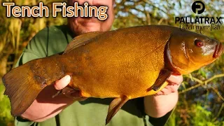 Tench fishing - Late Evenings (Video 144)