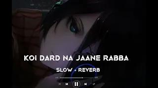 Koi dard na jaane rabba || slowed reverb song | best sad song | lofi song |