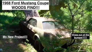 1968 Ford Mustang Coupe WOODS/BARN Find!