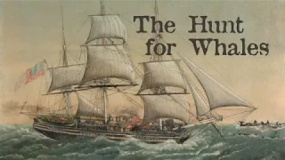 The Hunt for Whales, presented at the Nantucket Whaling Museum