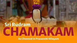 Sri Rudram - Chamakam with Lyrics & Meaning