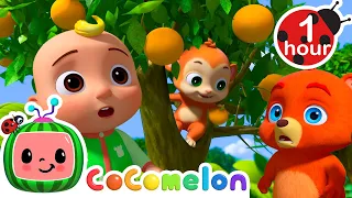 Grow Grow Grow Your Oranges | 1 hour CoComelon Animal Time - Learning with Animals | Nursery Rhymes