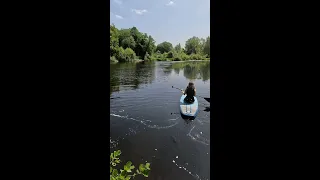 Weekend paddles are even easier with our Cruise Lite 🌊  📹 @touringwiththekids