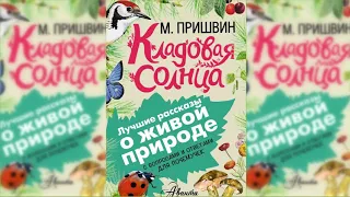 Кладовая Солнца аудиосказка слушать