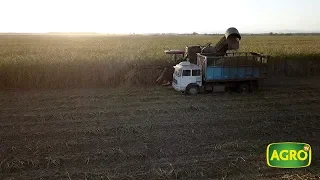 Tucumán: Destino del azúcar, mucho más que para café, hoy bioenergía (#778 2018-06-30)