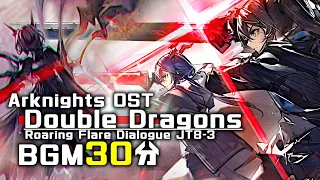 アークナイツ BGM - Double Dragons 30min | Arknights/明日方舟 怒号光明 OST