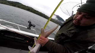 Columbia River Keeper Sturgeon Fishing  01/05/2021