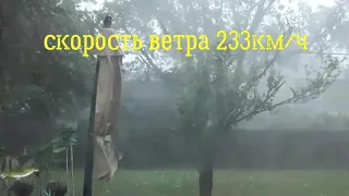 Дерево падает на дом😱 Ураган Деречо. 233км/час часть2. Falling tree on the house. #Derecho#2020