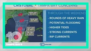 Tracking Tropical Storm Cristobal and effects in Tampa Bay