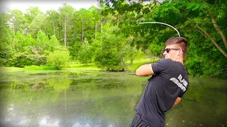 Catch MORE GIANT Bass in Ponds - TRY THIS (Bass Fishing Tips)