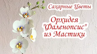 Как Сделать Орхидею из Мастики | Орхидея Фаленопсис из Мастики | Сахарные Цветы | David Malaniia