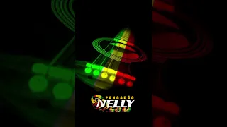 MEDLEY REMASTERIZADO REGGAE REMIX PANCADÃO NELLY SOM))))))))