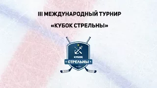«Динамо»  (г. Москва) - «Finland Select»