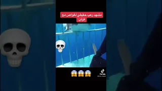 مشهد رعب حقيقي لغواص مع قرش