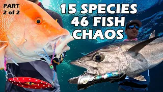 DOES FISHING GET ANY BETTER? | 15 Different Species | 46 fish caught in this episode | Swains Reef