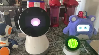 Jibo and Friends - True Colors