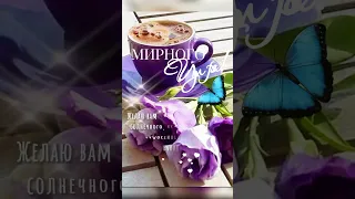 Пусть утро будет Добрым!💖Мирного дня!🦋