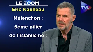 Grandeur et déchéance du camarade Mélenchon - Le Zoom - Eric Naulleau - TVL